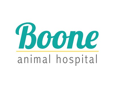 VCA Boone Animal Hospital