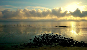Photo n°24 de Gîte de Goulée Port De Goulée 33590 JAU-DIGNAC ET LOIRAC à Jau-Dignac-et-Loirac (Gîte)