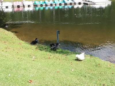 Photos of Lake Lurleen State Park