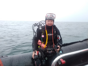 Photo n°10 de Abyss coeur de nacre plongee. à Courseulles-sur-Mer (Club de plongée)