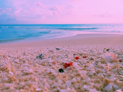 Photos of White Sandy Beach
