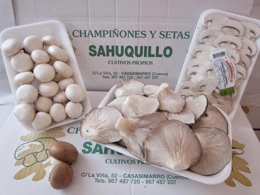 Champiñones Y Setas Sahuquillo