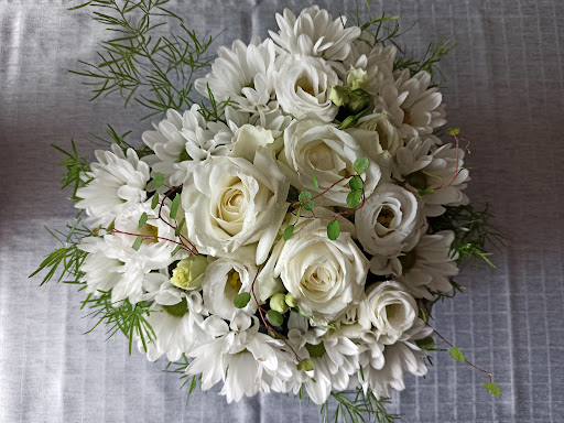 Blumen Ehle - Visual