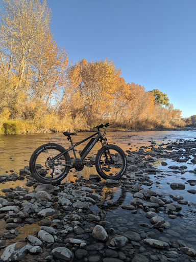 Concept Electric Bikes
