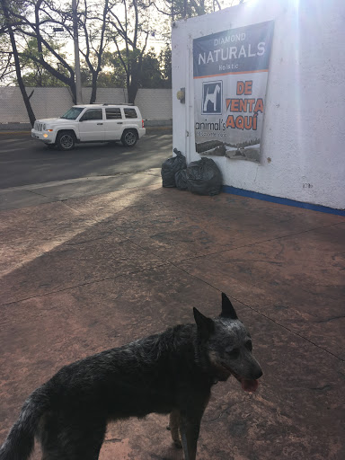 Animal's Médicos Veterinarios - Thumbnail
