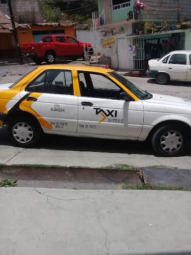Base taxis - Visual