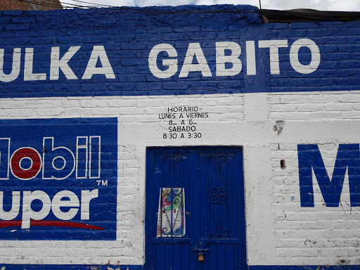 VULCA GABITO - Visual