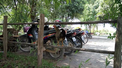 Photos of Amarak Organic Garden