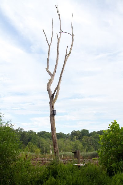 Horsepen Branch Park