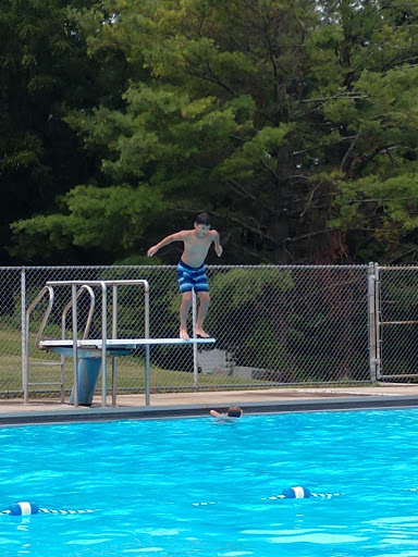 Lake Summerset Pool Logo