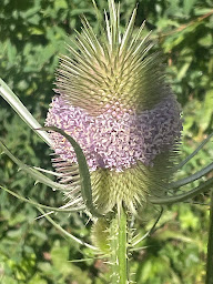 Photo n°57 de Camping du Petit Vaux à Veynes (Terrain de camping)