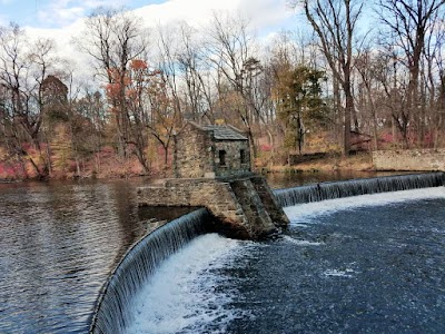 Historic Speedwell