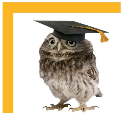 Center for Financial Training and Education Alliance (CFTEA) - Thumbnail