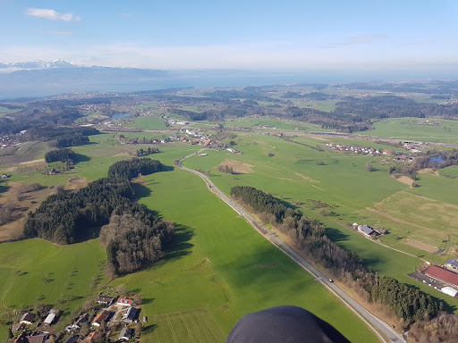 Wildberg - Visual