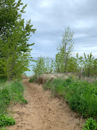 Buchanan Beach - Visual
