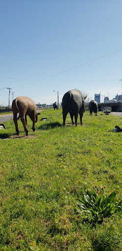 Buffalo Statues - Thumbnail