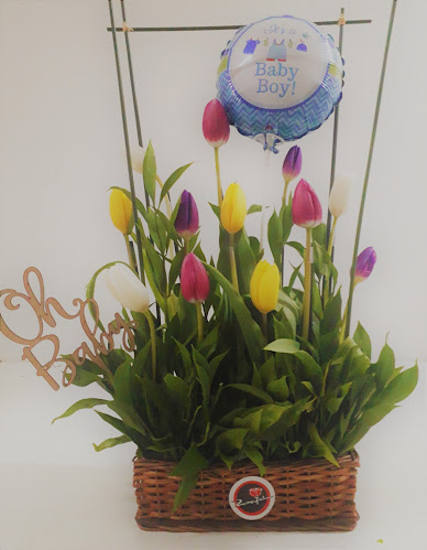 Comentarii opinii despre Rosatel Chile