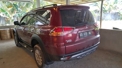 Photos of Rayya Andromeda. CV