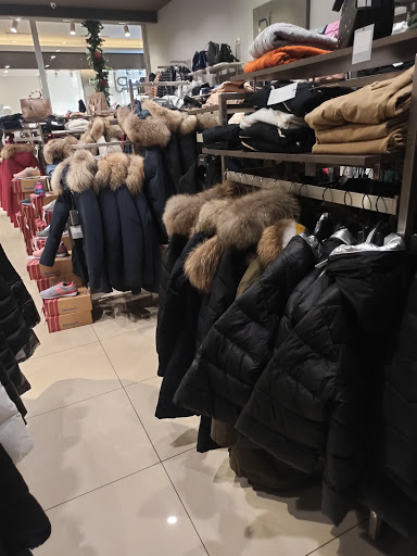 PJ Multibrand - Visual