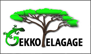 Photo n°8 de Gekko Élagage à Noyal-Pontivy (Service forestier)