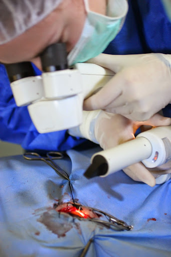 Clinique Equine Vet'Arenes - Thumbnail