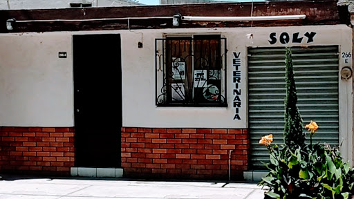 Veterinaria Soly