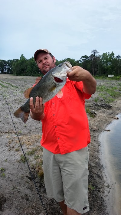 Photos of South Georgia Outdoors