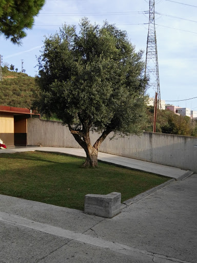 Tanatori de Santa Coloma