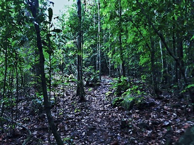 Photos of Kudumeeriya Forest Resever