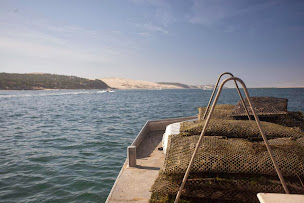 Photo n°120 de L' Atelier N.3 Ortiz ludovic à Lanton (Restaurant de fruits de mer)