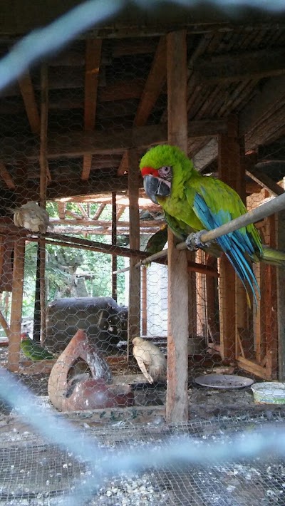 Photos of Las Banderas Park