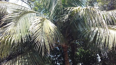 Photos of Chandpur pauro park