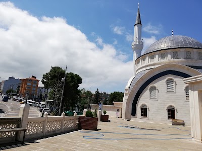 Sağlık Bilimleri Üniversitesi Ahi Evren Göğüs Kalp ve Damar Cerrahisi Eğitim ve Araştırma Hastanesi