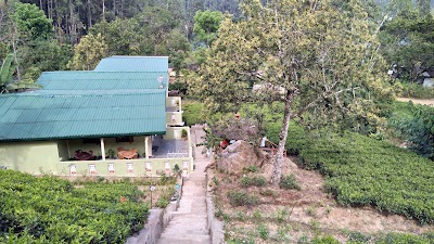 Photos of Narra Homestay