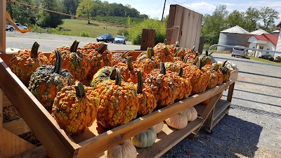 Photos of Mayfield Corn Maze & Pumpkin Patch