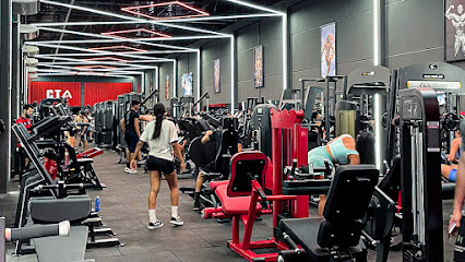 Arena Training