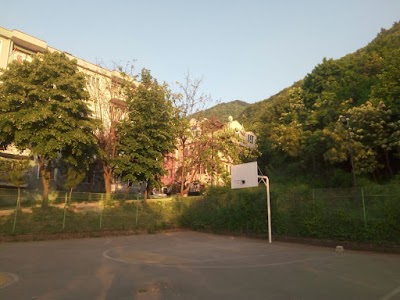 Basketball court