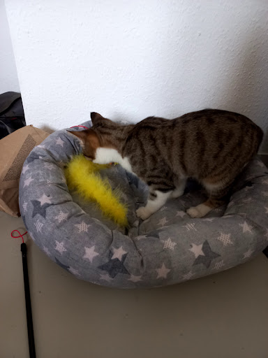 KLEINE TIERWELT HAGEN - Thumbnail