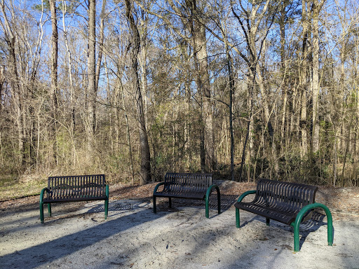 Sawmill Branch Trail - YMCA Trailhead & Parking - Thumbnail