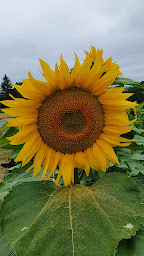 Photo n°17 de Le Coustal, Chambres d'hôtes à Lusignac à Lusignac (Chambre d'hôtes)