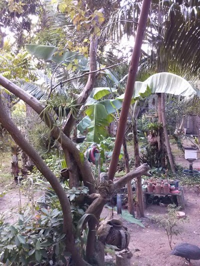Photos of Aththalapitiya Temple