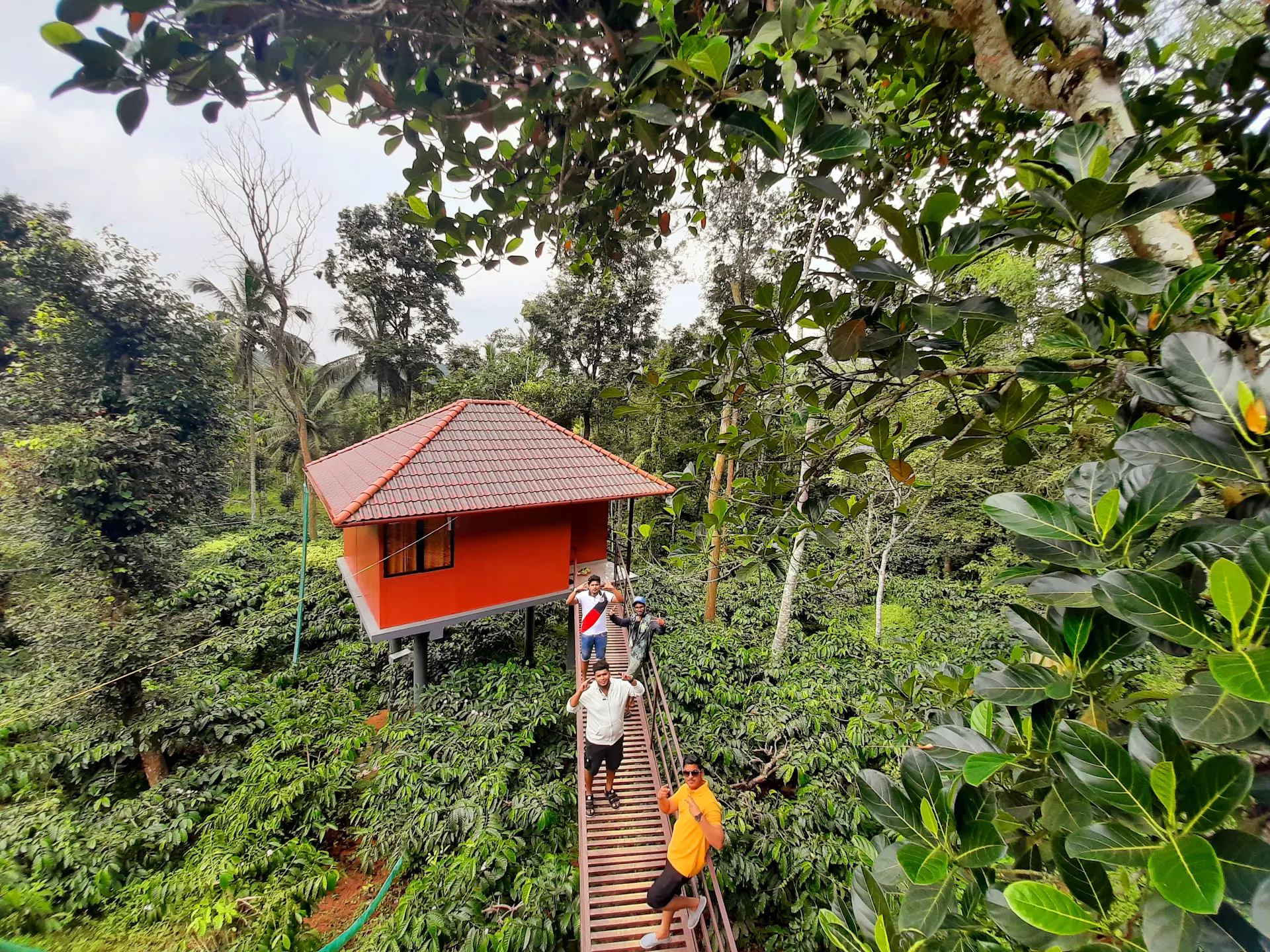VMJ Wild Stay/Hut stay in wayanad/Home stay in wayanad