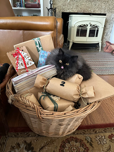 Patchwork Kittens - Visual