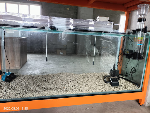 [蘭陽水族設備王 水族店的外部或內部照片]