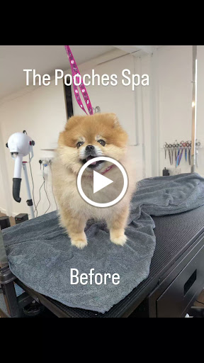 The Pooches Spa