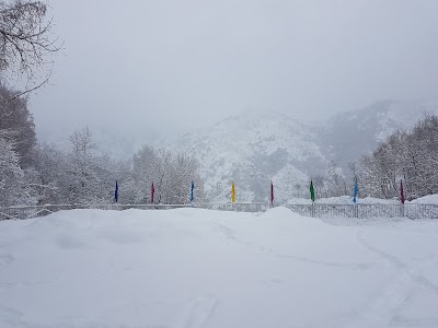 Photos of Gornoye Solntse
