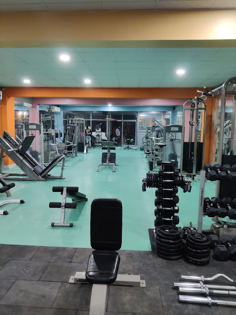 Crunch N Curves The Fitness Club Best Gym In Gwalior