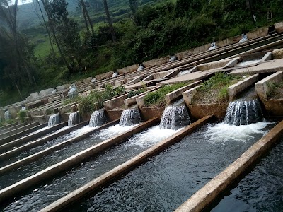 photo of Piscigranja de Huaros