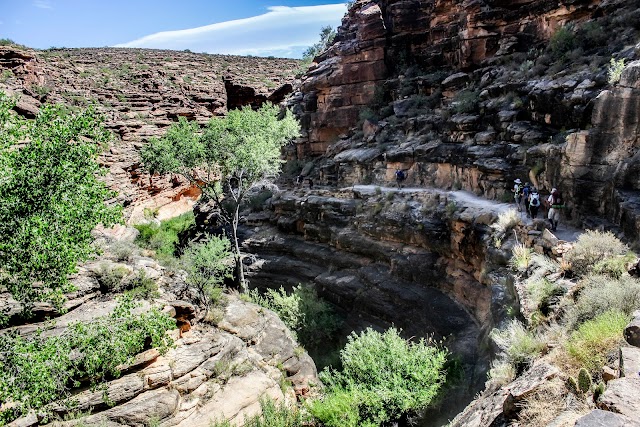 Mather Campground