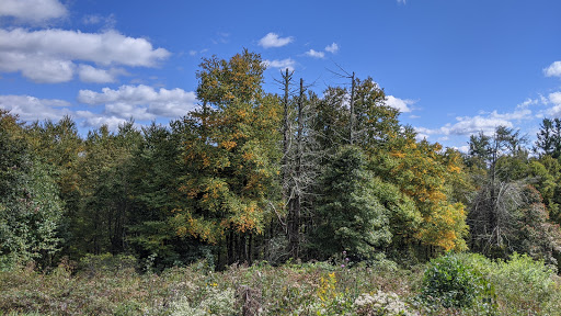 Moses Cone Overlook Gallery - United States